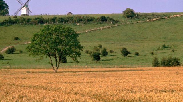 Turville england